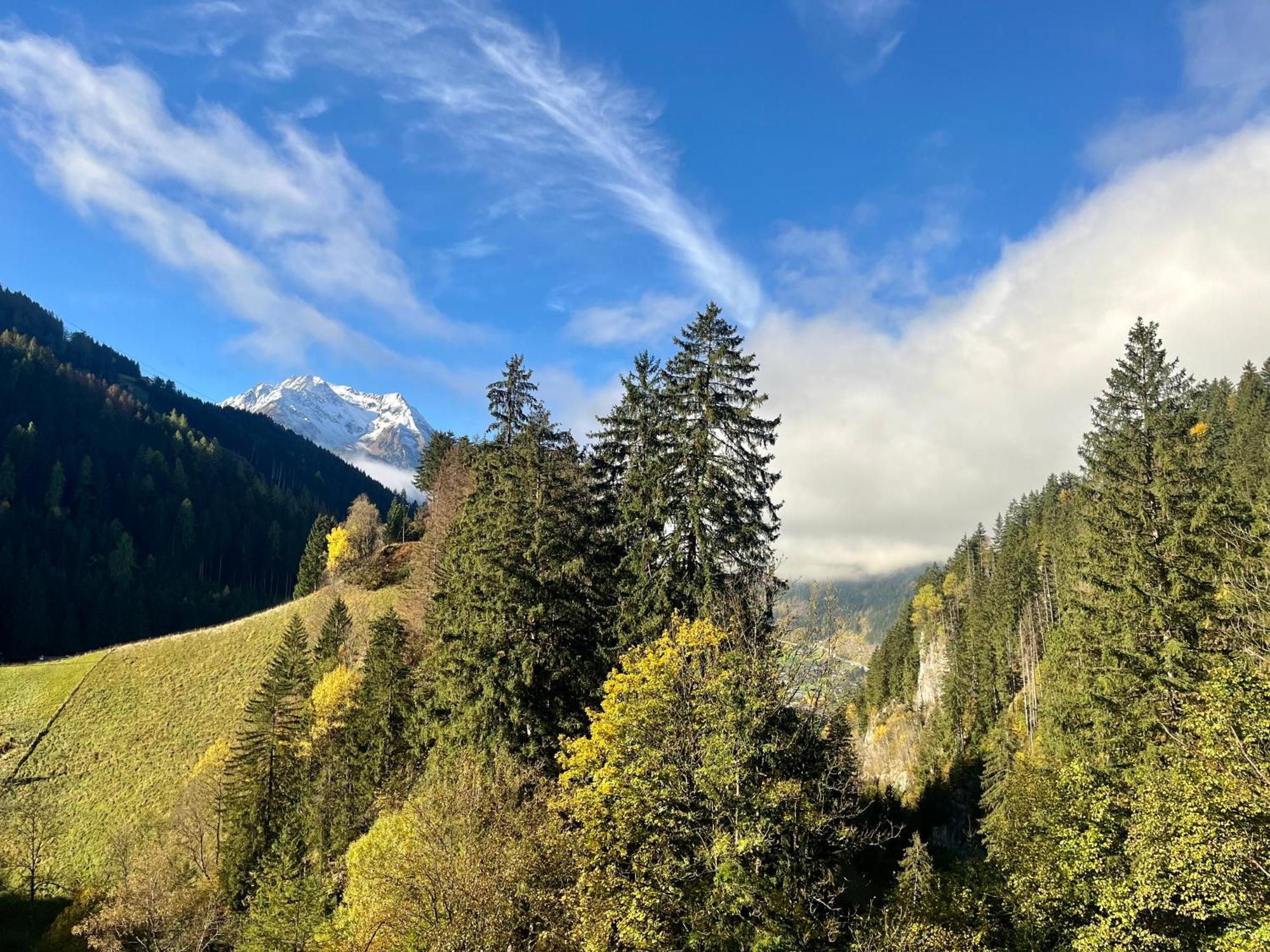 Natur Zeit - Alpine Garden Apartments 迈尔霍芬 外观 照片